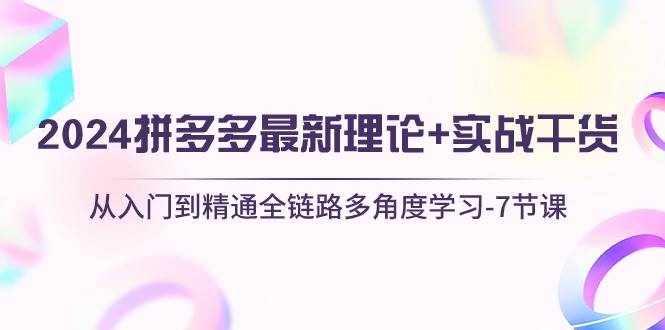 （10816期）2024拼多多 最新理论+实战干货，从入门到精通全链路多角度学习-7节课-泰戈创艺资源库