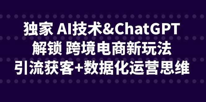 独家 AI技术&ChatGPT解锁 跨境电商新玩法，引流获客+数据化运营思维-泰戈创艺资源库