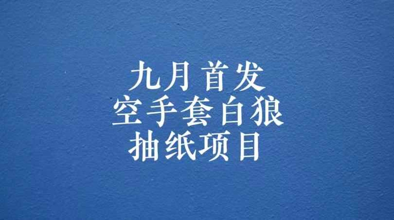 0成本，日入100-500空手套白狼抽纸项目，保姆级教学-泰戈创艺资源库