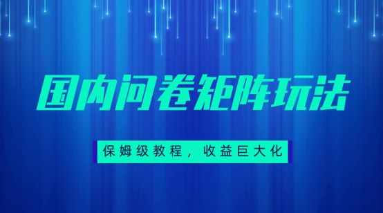 保姆级教程，国内问卷矩阵玩法，轻松赚收益-泰戈创艺资源库