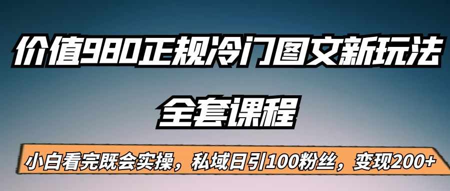 外面卖980的正规冷门图文新玩法，私域日引100粉丝，变现200+-泰戈创艺资源库