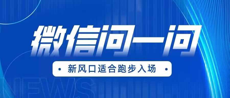 全网首发微信问一问新风口变现项目（价值1999元）-泰戈创艺资源库