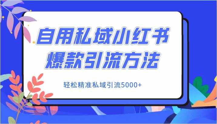 自用私域小红书爆款引流方法，轻松精准私域引流5000+-泰戈创艺资源库