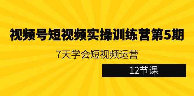 视频号短视频实操训练营第5期：7天学会短视频运营（12节课）-泰戈创艺资源库