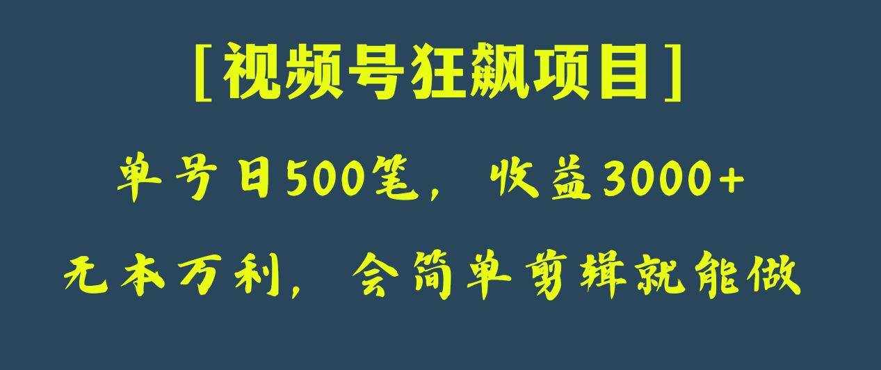 日收款500笔，纯利润3000+，视频号狂飙项目！-泰戈创艺资源库