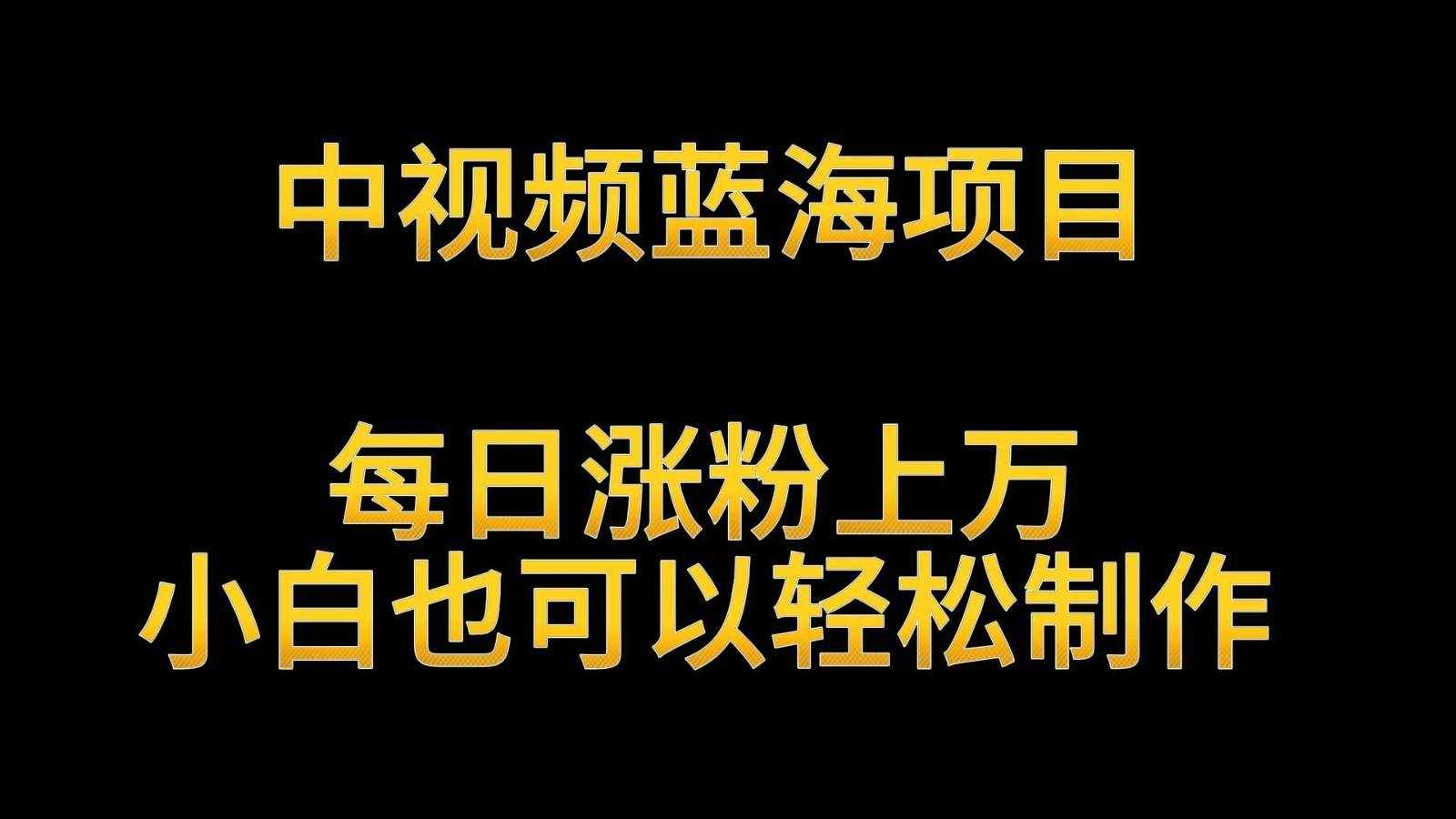 中视频蓝海项目，解读英雄人物生平，每日涨粉上万，小白也可以轻松制作，月入过万-泰戈创艺资源库