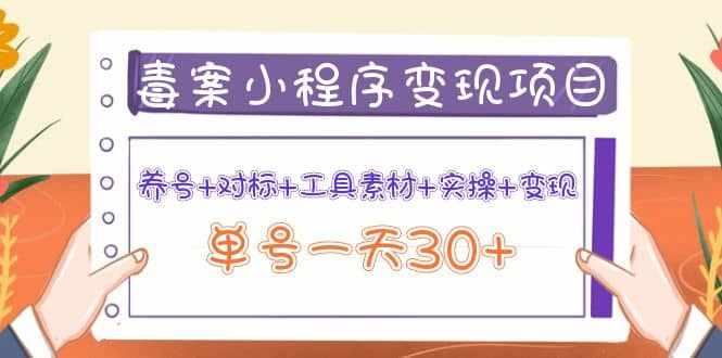 毒案小程序变现项目：养号+对标+工具素材+实操+变现-泰戈创艺资源库