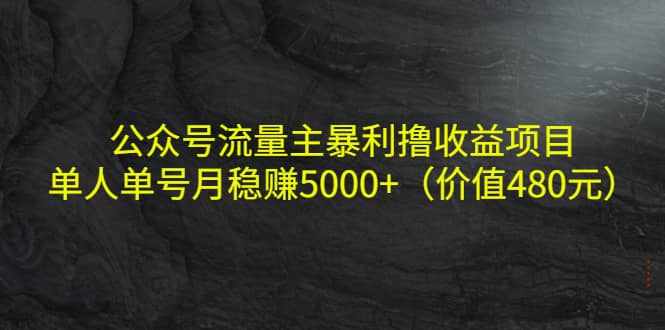 公众号流量主暴利撸收益项目，单人单号月稳赚5000+（价值480元）-泰戈创艺资源库