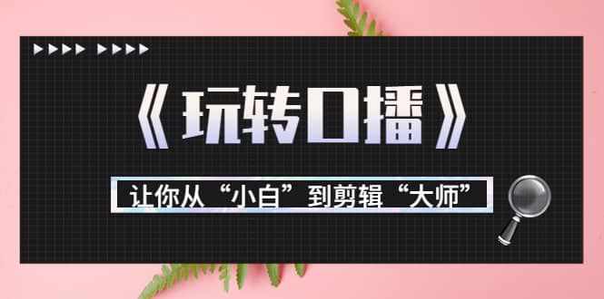 月营业额700万+大佬教您《玩转口播》让你从“小白”到剪辑“大师”-泰戈创艺资源库