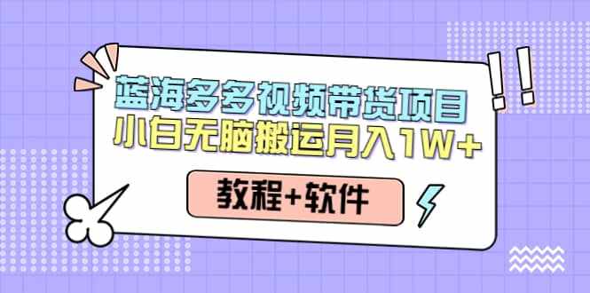 人人都能操作的蓝海多多视频带货项目 小白无脑搬运（教程+软件）-泰戈创艺资源库