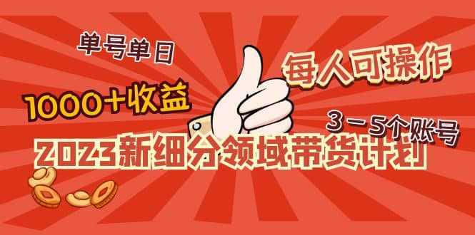 2023新细分领域带货计划：单号单日1000+收益不难，每人可操作3-5个账号-泰戈创艺资源库