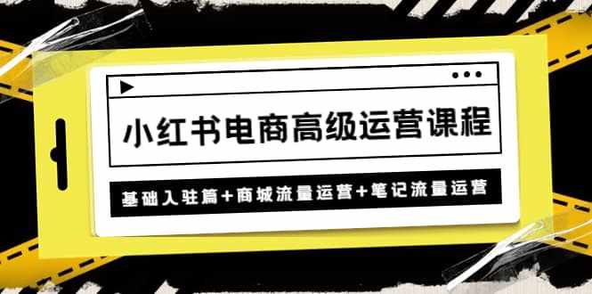 小红书电商高级运营课程：基础入驻篇+商城流量运营+笔记流量运营-泰戈创艺资源库