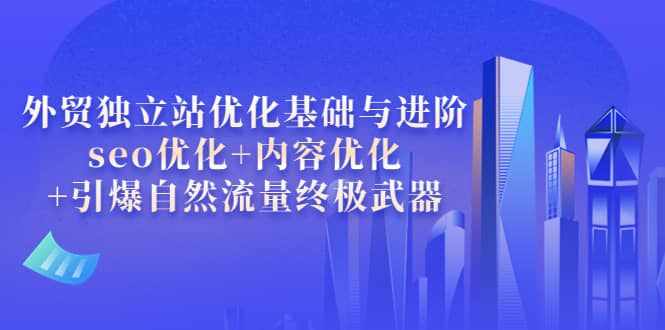 外贸独立站优化基础与进阶，seo优化+内容优化+引爆自然流量终极武器-泰戈创艺资源库