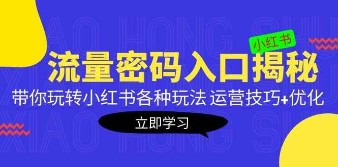 小红书流量密码入口揭秘：带你玩转小红书各种玩法 运营技巧+优化-泰戈创艺资源库