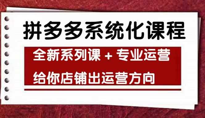 车神陪跑，拼多多系统化课程，全新系列课+专业运营给你店铺出运营方向-泰戈创艺资源库