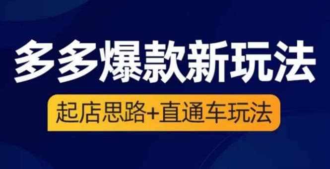 2023拼多多爆款·新玩法：起店思路+直通车玩法（3节精华课）-泰戈创艺资源库