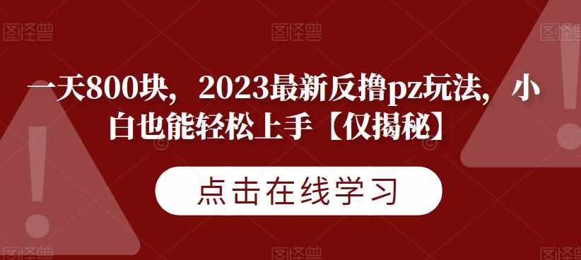 一天800块，2023最新反撸pz玩法，小白也能轻松上手【仅揭秘】-泰戈创艺资源库