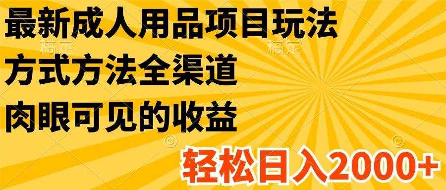 最新成人用品项目玩法，方式方法全渠道，肉眼可见的收益，轻松日入2000+-泰戈创艺资源库