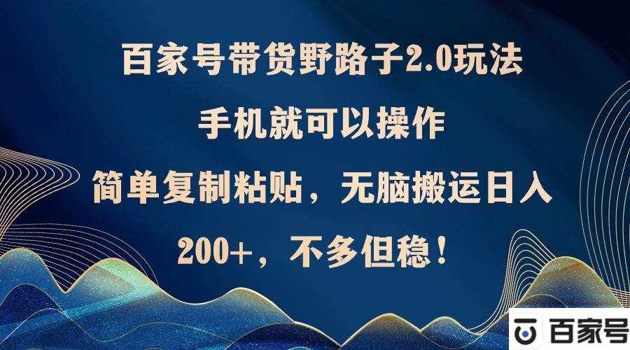 （12804期）百家号带货野路子2.0玩法，手机就可以操作，简单复制粘贴，无脑搬运日…-泰戈创艺资源库