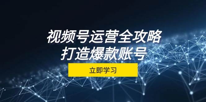 （12912期）视频号运营全攻略，从定位到成交一站式学习，视频号核心秘诀，打造爆款…-泰戈创艺资源库