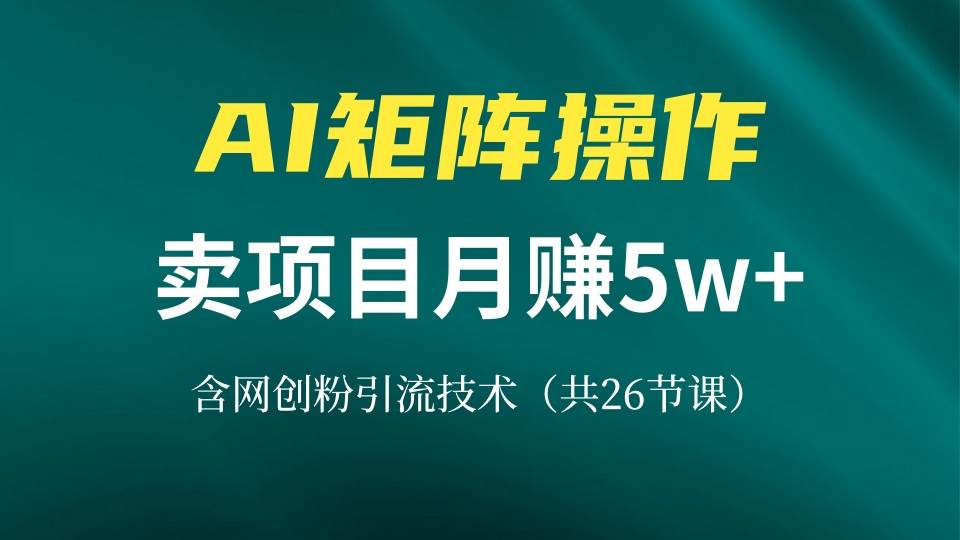 （13335期）网创IP打造课，借助AI卖项目月赚5万+，含引流技术（共26节课）-泰戈创艺资源库