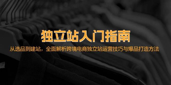 （12882期）独立站入门指南：从选品到建站，全面解析跨境电商独立站运营技巧与爆品…-泰戈创艺资源库