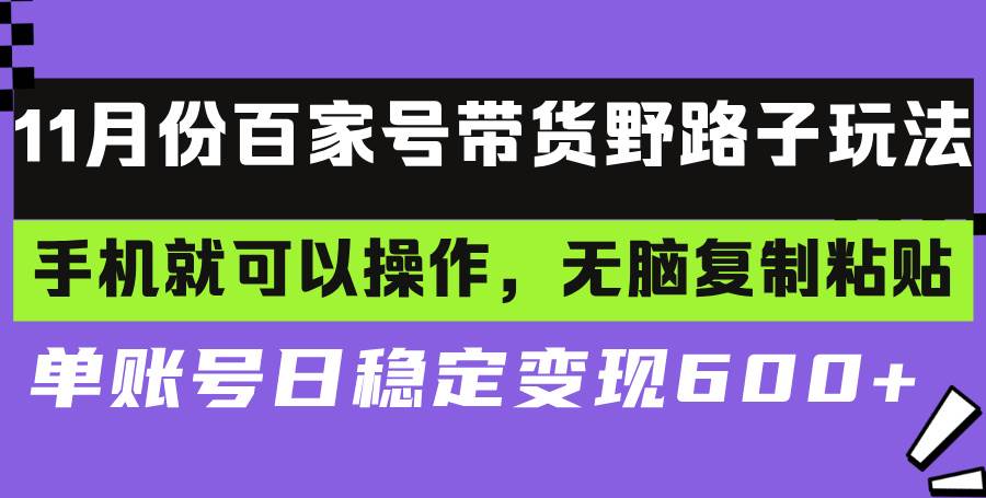 （13281期）百家号带货野路子玩法 手机就可以操作，无脑复制粘贴 单账号日稳定变现…-泰戈创艺资源库