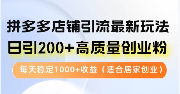 （12893期）拼多多店铺引流最新玩法，日引200+高质量创业粉，每天稳定1000+收益（…-泰戈创艺资源库