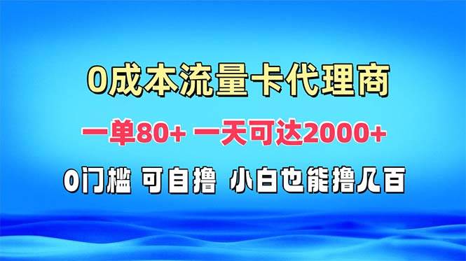 （13391期）免费流量卡代理一单80+ 一天可达2000+-泰戈创艺资源库