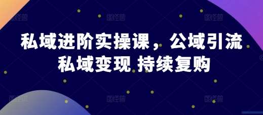 私域进阶实操课，公域引流 私域变现 持续复购-泰戈创艺资源库