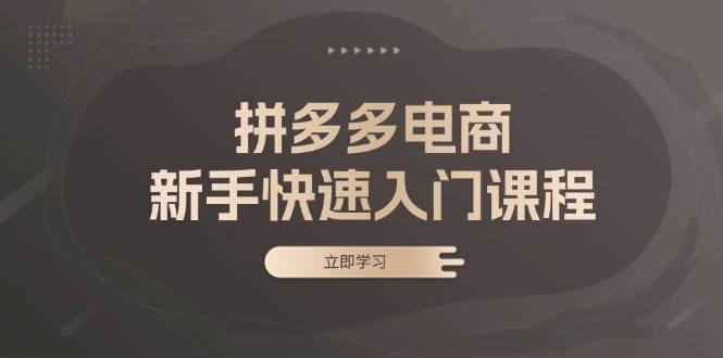 （13289期）拼多多电商新手快速入门课程：涵盖基础、实战与选款，助力小白轻松上手-泰戈创艺资源库