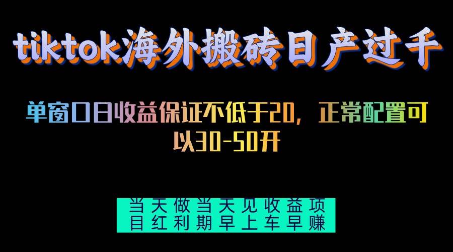 （13079期）tiktok海外搬砖项目单机日产过千当天做当天见收益-泰戈创艺资源库