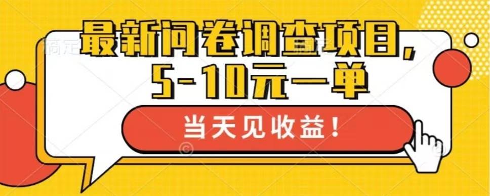 （13167期）最新问卷调查项目，单日零撸100＋-泰戈创艺资源库