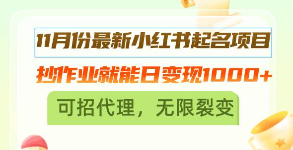 （13256期）11月份最新小红书起名项目，抄作业就能日变现1000+，可招代理，无限裂变-泰戈创艺资源库