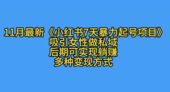 K总部落11月最新小红书7天暴力起号项目，吸引女性做私域【揭秘】-泰戈创艺资源库