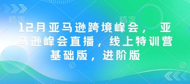 12月亚马逊跨境峰会， 亚马逊峰会直播，线上特训营基础版，进阶版-泰戈创艺资源库